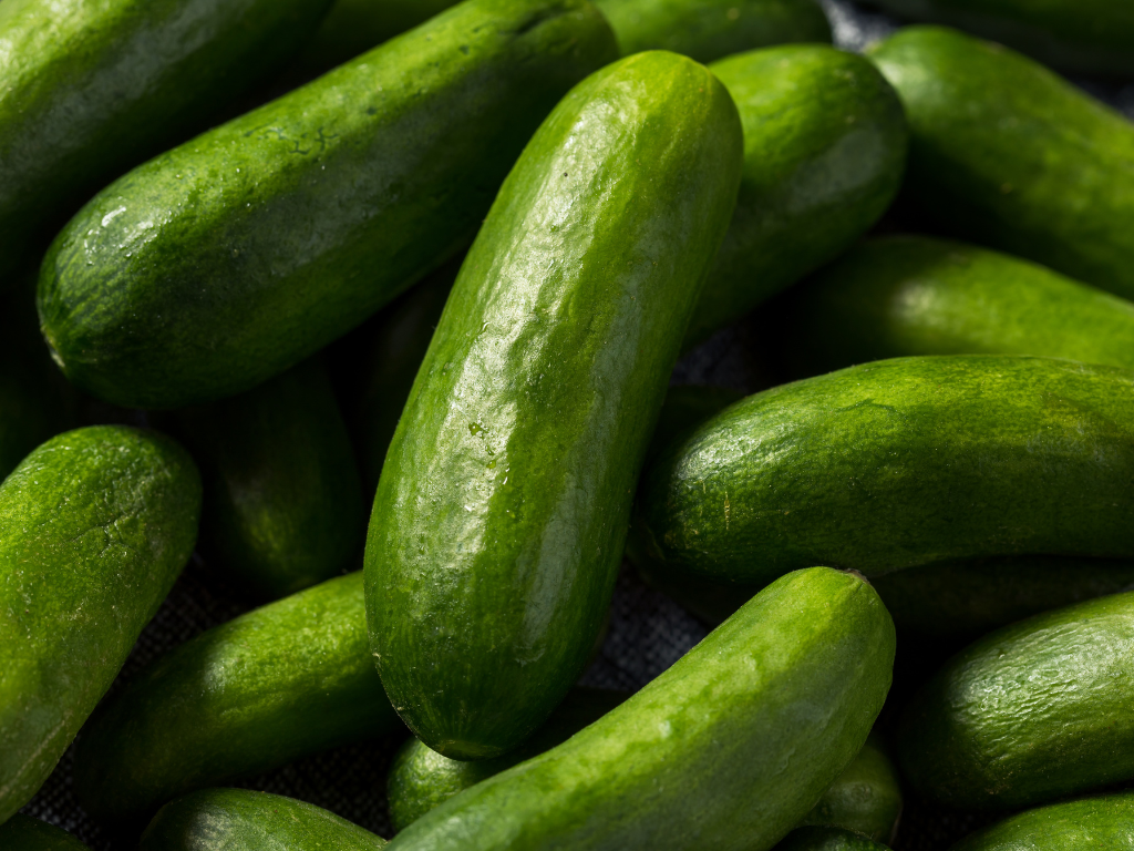 Cucumbers