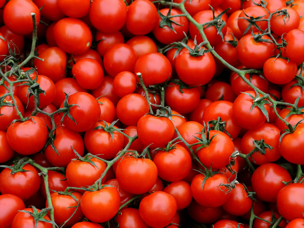 Cherry Tomatoes
