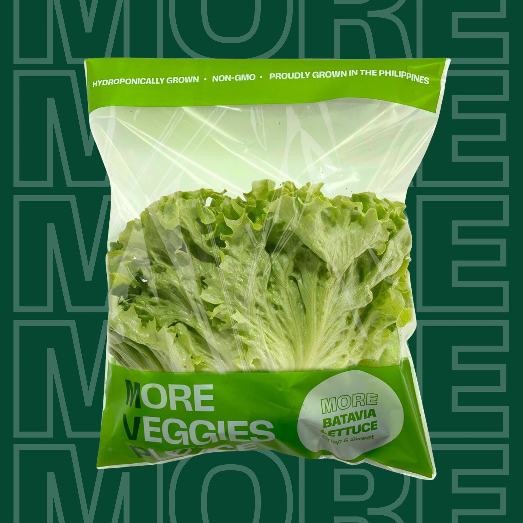 MORE Batavia Lettuce