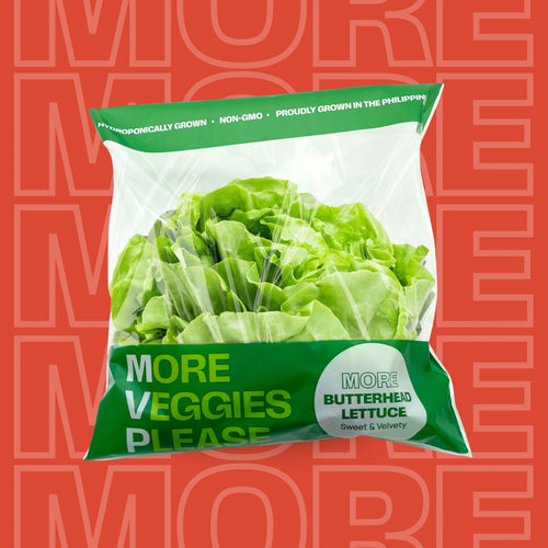 MORE Butterhead Lettuce
