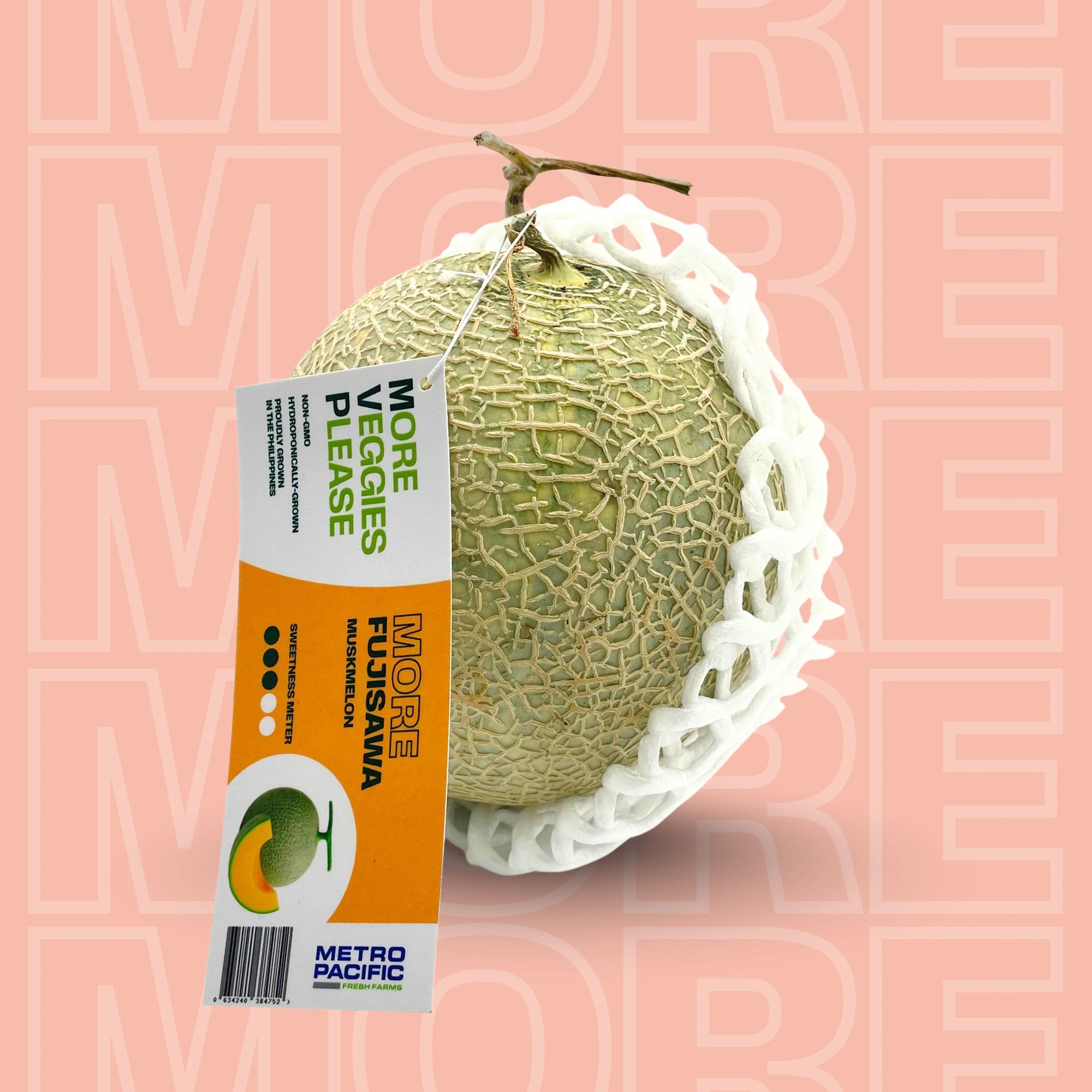 MORE Fujisawa Melon
