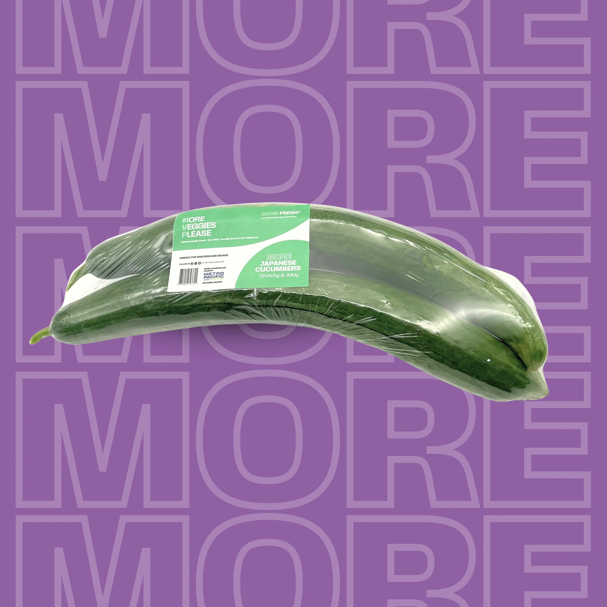 MORE Japanese Cucumber