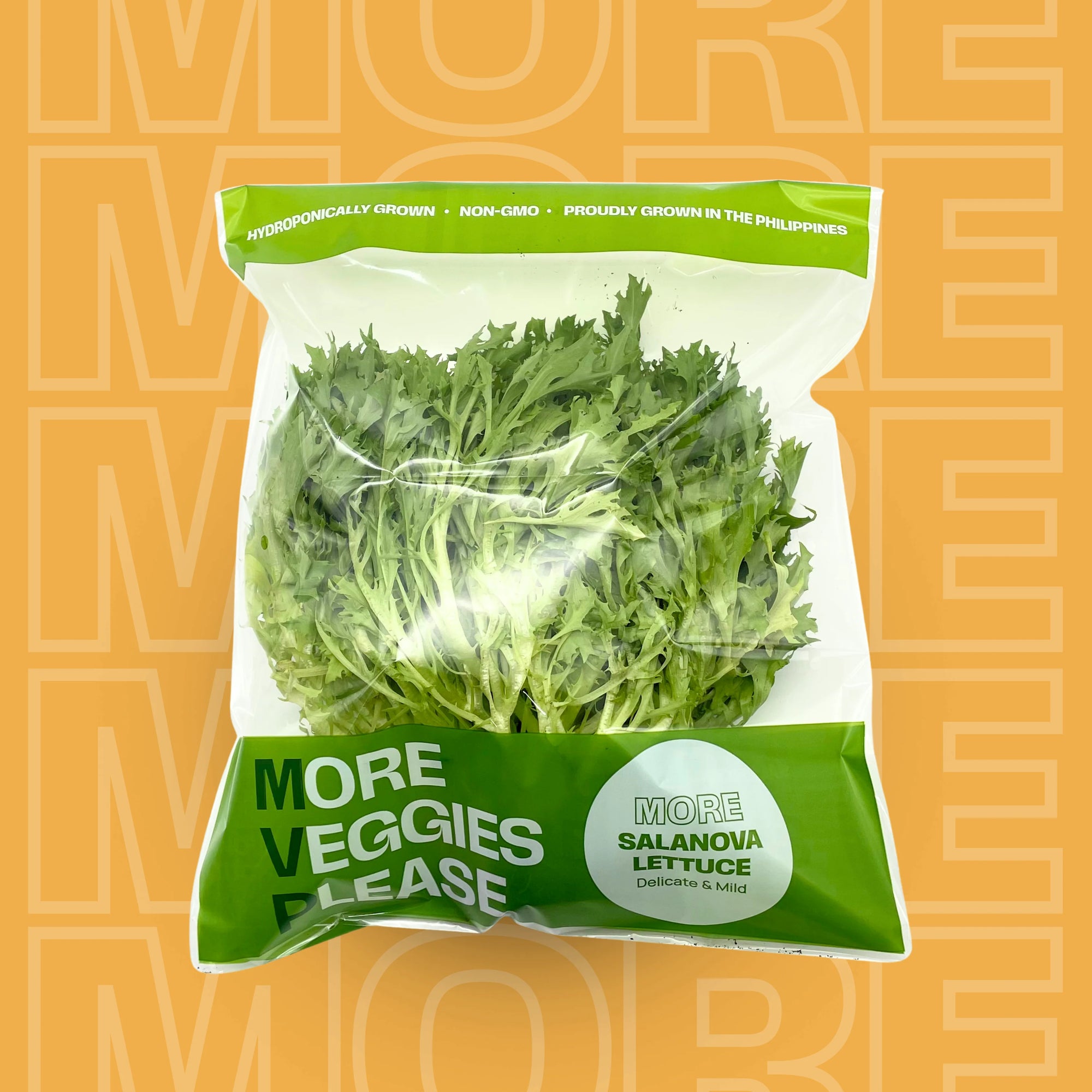MORE Salanova Lettuce